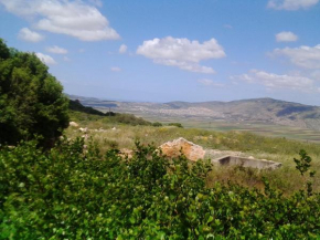 Shapira in the Galilee